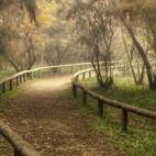 El espacio natural del Corredor verde del Guadiamar tiene su origen en el nombre árabe de Wadi-Amar que significa río de príncipes. Se trata del último gran afluente del Guadalquivir. Puedes recorrer el camino andando, en bici o a caballo, d...