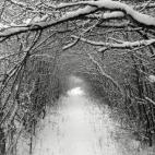 La región de Lorena es la única de Francia que comparte frontera con tres países: Bélgica, Luxemburgo y Alemania. A pesar de estar dentro de la Banana Azul —que conforma una de las zonas más pobladas de Europa—, uno de sus grandes atrac...