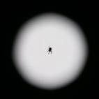 Kaufbeuren, Alemania