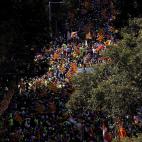 5c8aa4ab2400006f054c29cf