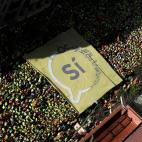 5c8aa4ac2400006b054c29d1