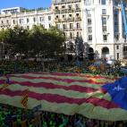 5c8aa4b62300003000e6e1ee