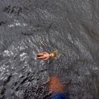 5c8aa511230000dd04236a96