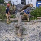 5c8aa51324000093024c2af3