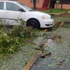 5c8aa5222000009d036f772b