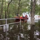 5c8aa52b20000043046f7749