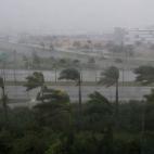 Las palmeras se comban bajo el viento de Miami, Florida, el 10 de septiembre de 2017.
