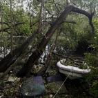 5c8aa301360000e01c6bc32d