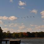 5c8b5d962300002f00e8022f