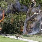 5c8aa0132400006b054c1cfd