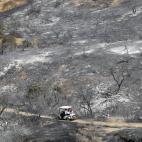 5c8aa01a2300005400e6d4f8