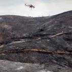 5c8aa01b2400006d054c1d17