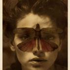 "Untitled (Metamorfosi Margaryta)"