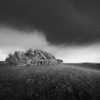 5c8b445e2000009d03707c90