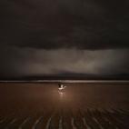 5c8b445e24000093024d344e