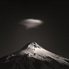 5c8b445f360000a61b6ccf50