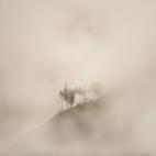 5c8b44603b000072066d50de