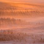 5c8b44623b000072066d50e2