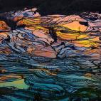 5c8b44622300005300e7ec1f