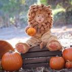 5c8a8dc12400004205a33868