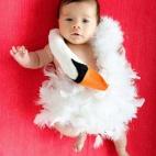 5c8a8dc224000093024bfe6b