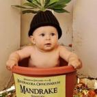 5c8a8dc4360000a61b6b9d3f