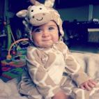 5c8a8dc72500000d04c92ebc