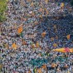 5c8b1678360000e01c6c6dd5