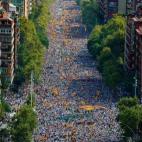 5c8b167a2400004205a40dbe