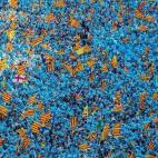 5c8b167b230000dd0424129e