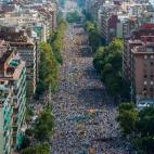 5c8b167f3b000002076cefd8