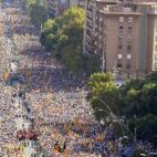 5c8b1680360000e01c6c6de1