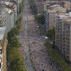 5c8b1680360000e01c6c6de3