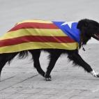 5c8b16822000009e04701b90