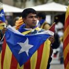 5c8b168324000093024cd0f5