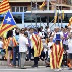 5c8b16832500000d04ca0253