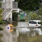 5c8b164e2400006d054cd087