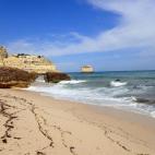 5c8a982b2300005300e6c313