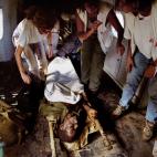 Durante las inundaciones de Mozambique, en la gran mayoría de los viajes, el helicóptero transportaba material logístico y médico, aunque a veces también hacía las funciones de ambulancia. En más de una ocasión, en algún pequeño hospit...