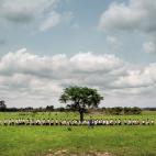 Tuve que correr, y mucho, para captar esta imagen. Estábamos vacunando en una pequeña escuela del Alto Katanga, antigua zona minera, cuando de repente se llenó la estancia. Era de aquellas veces en que cuesta tener una visión amplia de la si...