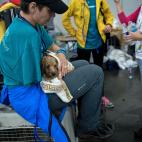 5c8a9c712400006c05a34fb7