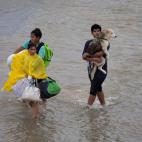 5c8a9c74360000c81a6bb30e