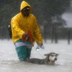 5c8a9c7a360000a61b6bb318