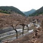 5c8a9d8f230000d5042356f8