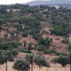 La Nava del Barranco.