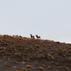 La Nava del Barranco.