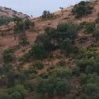 La Nava del Barranco.