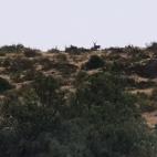 La Nava del Barranco.