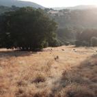 La Nava del Barranco.