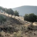 La Nava del Barranco.